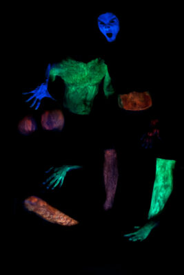 Azione n°3 – Organizzazione