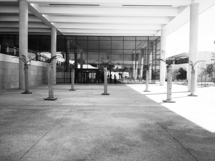 Le nouvelle palmeraie